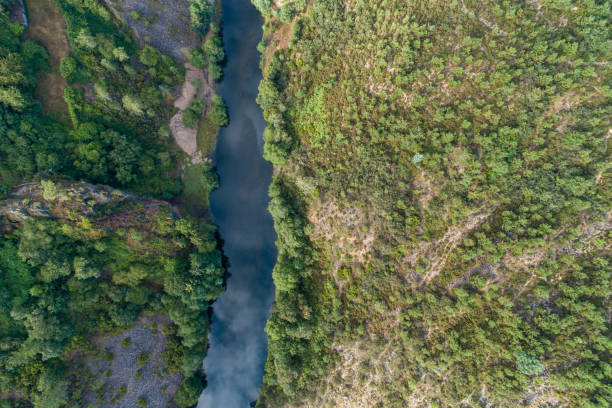 istock aerial top view of mountain river canyon 1605937880