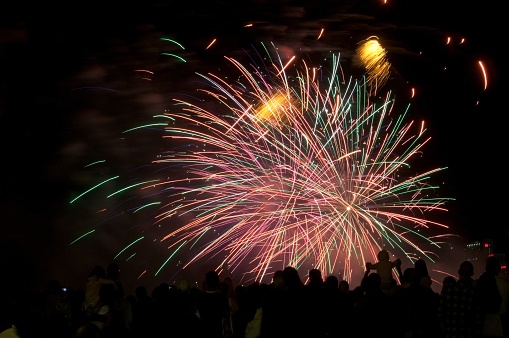 Celebration Fireworks in the night sky