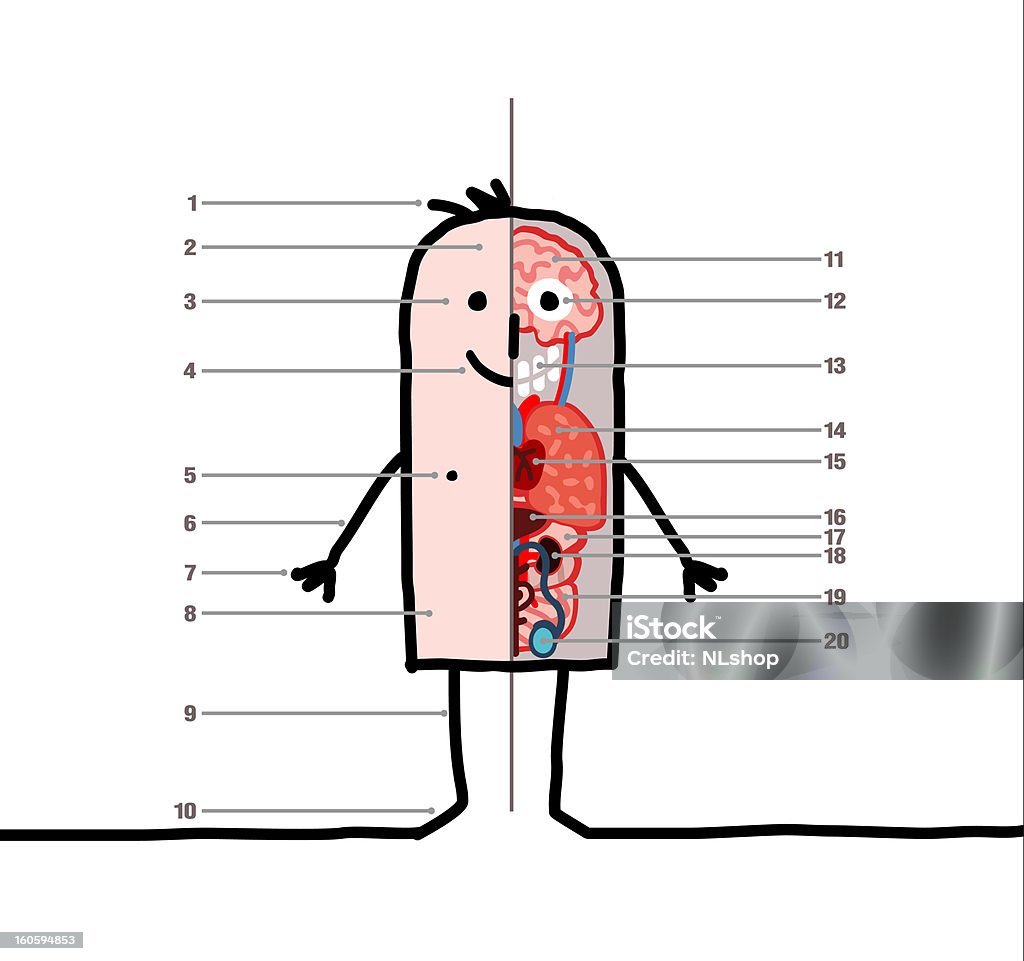 human body &amp; anatomy lesson vector hand drawn characters line  - human body & anatomy lesson Abdomen stock vector