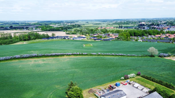 istock Cereal agricultural field (wheat or rye or oats) in  amazing Odense district 1605954708