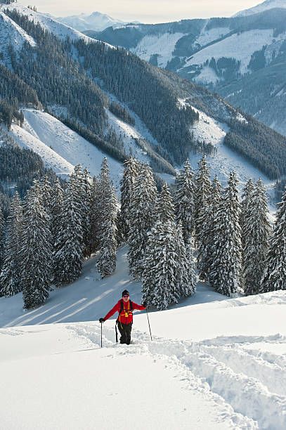 istock Ski mountaineering in the Austrian alps 160596280