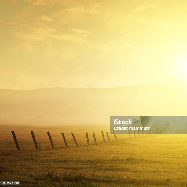 Foto de Foggy Nascer Do Sol e mais fotos de stock de Arame farpado - Arame - Arame farpado - Arame, Campo, Cena Não-urbana