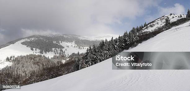Carpathians No Inverno - Fotografias de stock e mais imagens de Ao Ar Livre - Ao Ar Livre, Avalanche, Cordilheira - Montanha