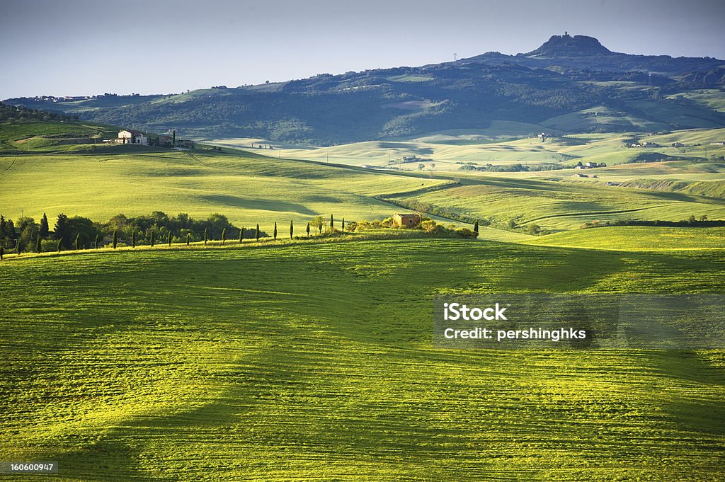 Toscana-Itália - Foto de stock de Agricultura royalty-free