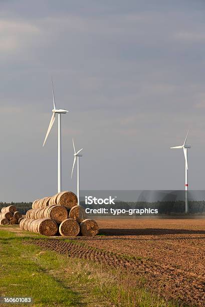 Moinhos No Final Da Tarde - Fotografias de stock e mais imagens de Agricultura - Agricultura, Alta Voltagem, Campo agrícola