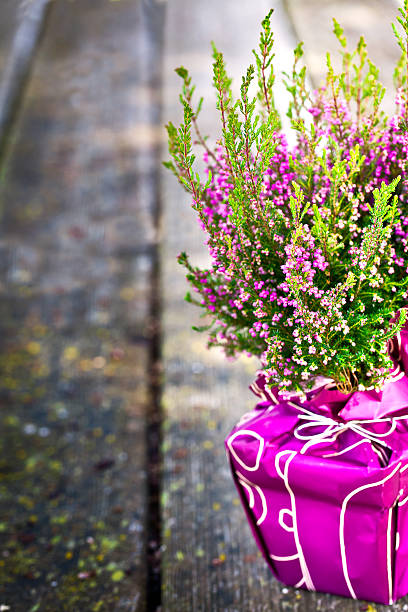 Erica Melange Blumen auf Holztisch – Foto