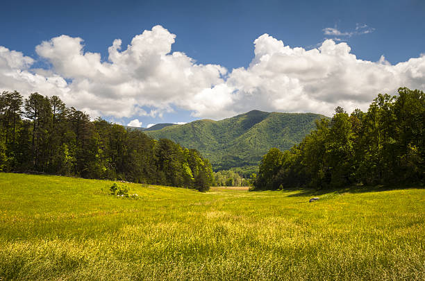 Cades Cove Great Smoky Mountains National Park Spring Scenic Landscape Cades Cove Great Smoky Mountains National Park Spring Scenic Landscape and Tennessee vacation outdoor travel destination gatlinburg great smoky mountains national park north america tennessee stock pictures, royalty-free photos & images