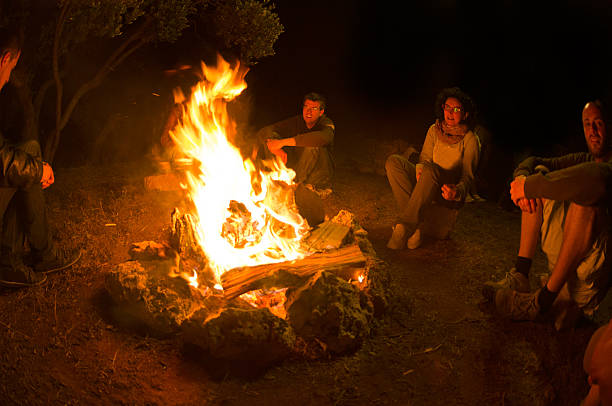 istock Campfire of friends in circle on the fire 160601378