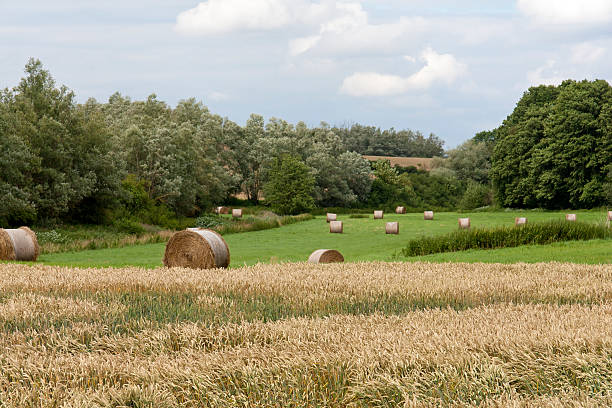 istock Agriculture in Mecklenburg, Germany 160601432