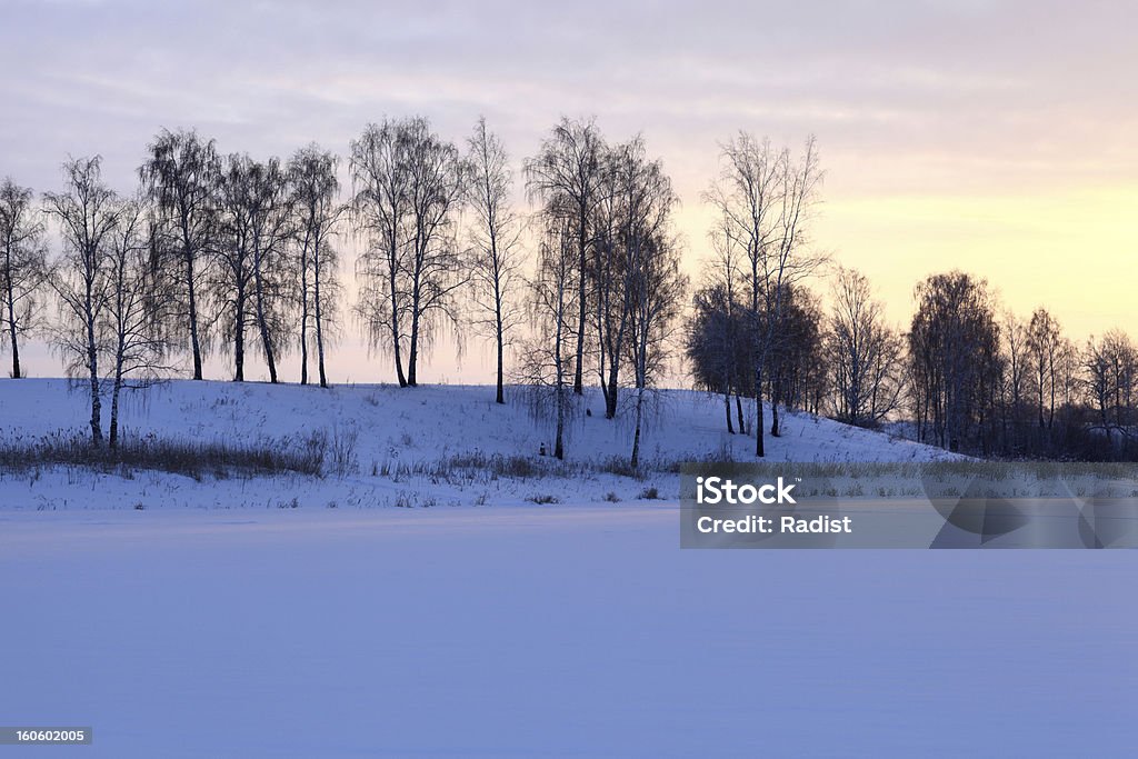冬の風景 - シベリアのロイヤリティフリーストックフォト