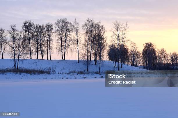 Zimowy Krajobraz - zdjęcia stockowe i więcej obrazów Bez ludzi - Bez ludzi, Chłodny, Drzewo