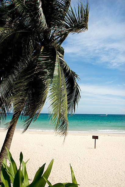 istock Dadonghai beach, sanya in hainan island. 160612801
