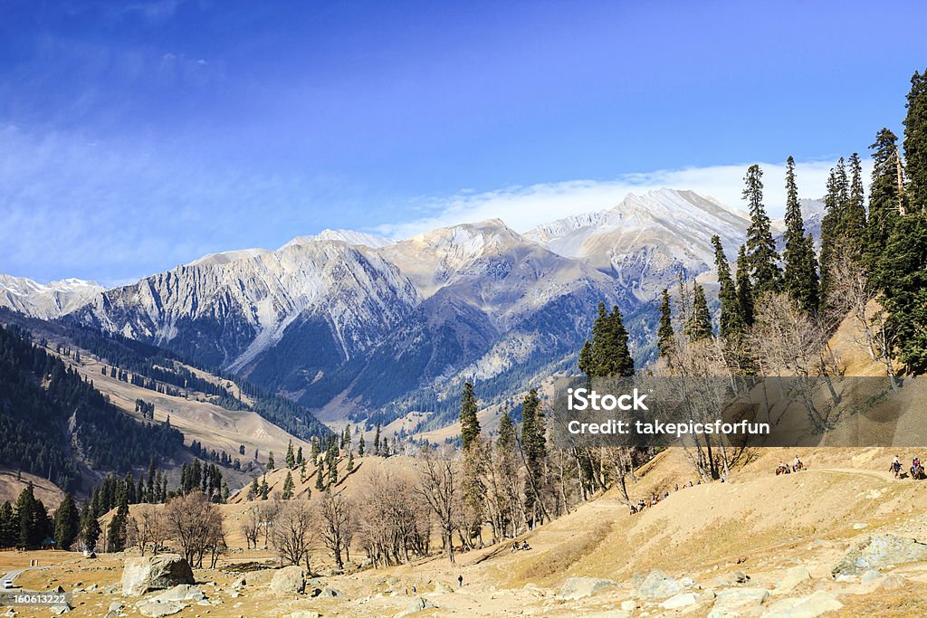 Vista da montanha de neve - Foto de stock de Azul royalty-free