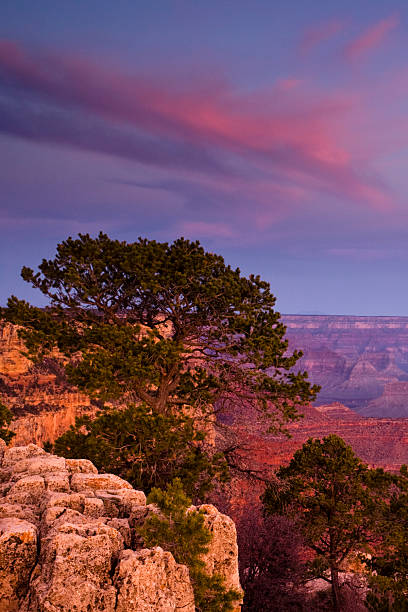 istock Grand Canyon Sunrise 160613273