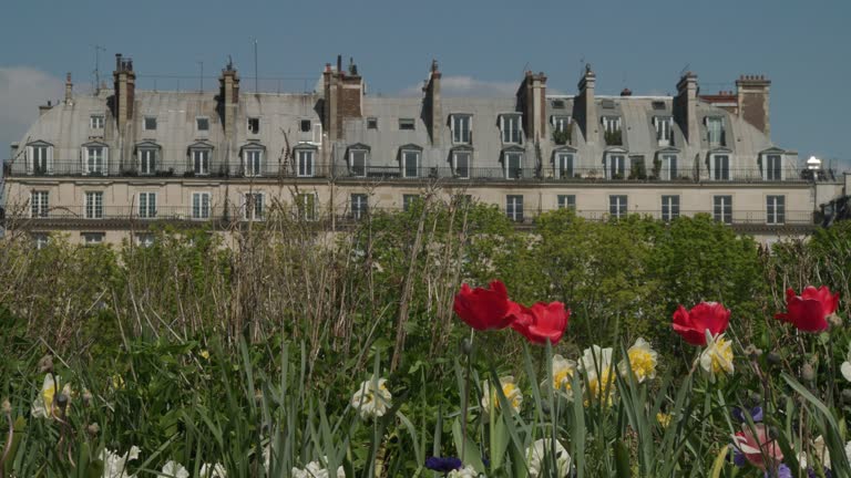 tourists at Jardin De Tuileries in Paris, France