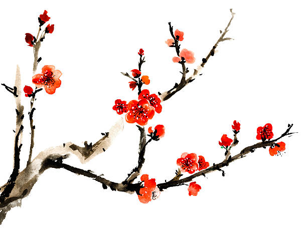 plum blossom Chinese traditional ink painting, red plum blossom on white background. japanese landscape stock illustrations
