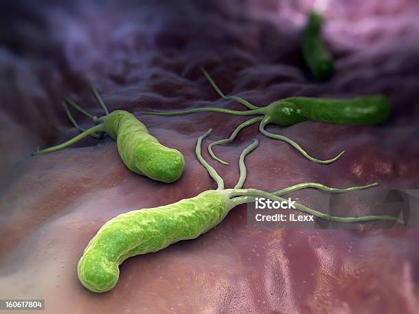 An Illustration Of Helicobacter Pylori Stock Photo - Download Image Now - Helicobacter Pylori, Gastric Ulcer, Electron