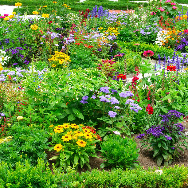 istock Blossoming flowerbeds in the park 160617825