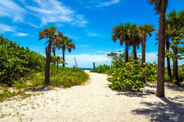 istock State Park and beach in Dania Beach Florida 1606185775