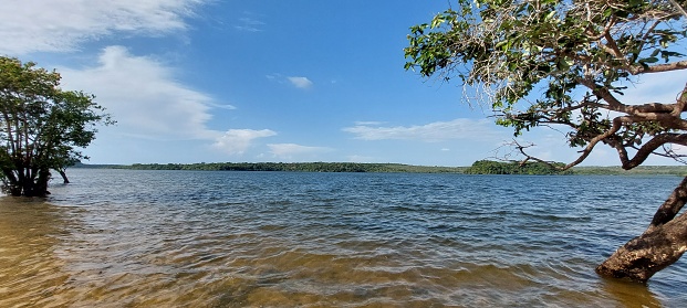 Alter do Chão - Tapajos - Amazonia- Pará - Brazil