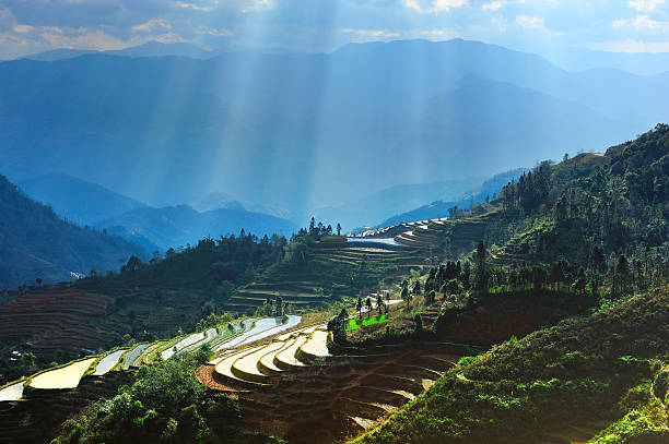 le soleil brille sur des terrasses - agriculture artificial yunnan province china photos et images de collection