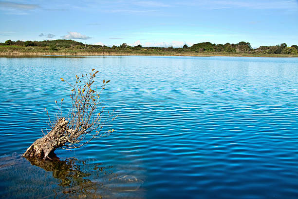 Autumn morning at an Irish lake stock photo