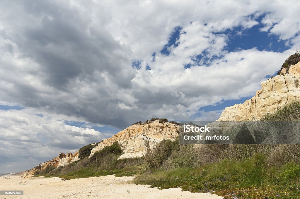 Piaskowiec cliff - Zbiór zdjęć royalty-free (Aranżacja)