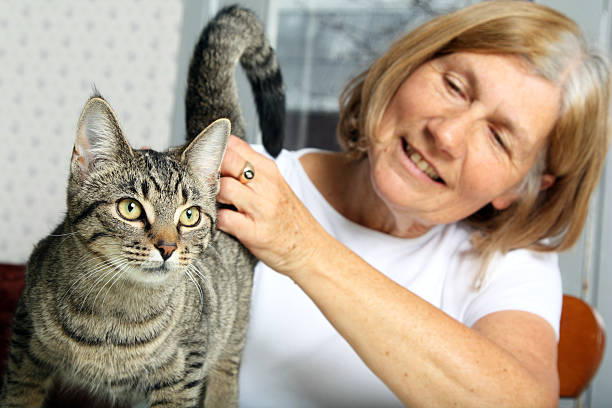 istock Mature Woman Petting Cat 160620666