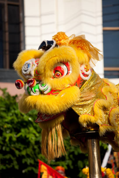 istock Traditional lion dance during Chinese New Year 160621292