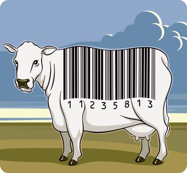 Barcode Cow vector art illustration