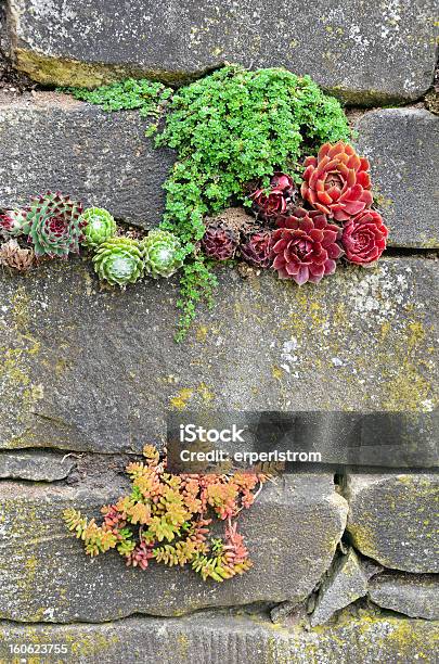 Garden Wall Stock Photo - Download Image Now - Botany, Brick, Brick Wall