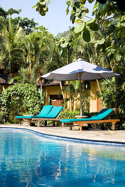 istock Swimming pool in indonesian resort 160624016