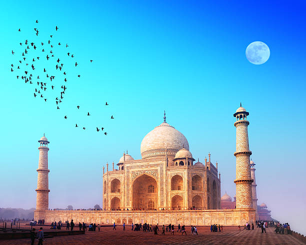 The Taj Mahal at sunset with birds flying over Taj Mahal Palace in India taj mahal 
