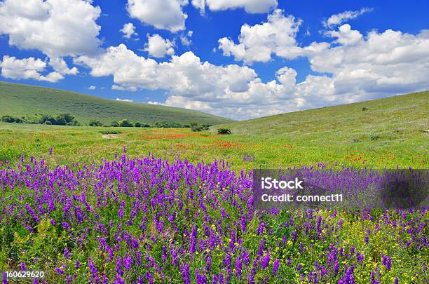 Paesaggio Di Primavera - Fotografie stock e altre immagini di Ambientazione esterna - Ambientazione esterna, Ambientazione tranquilla, Bianco