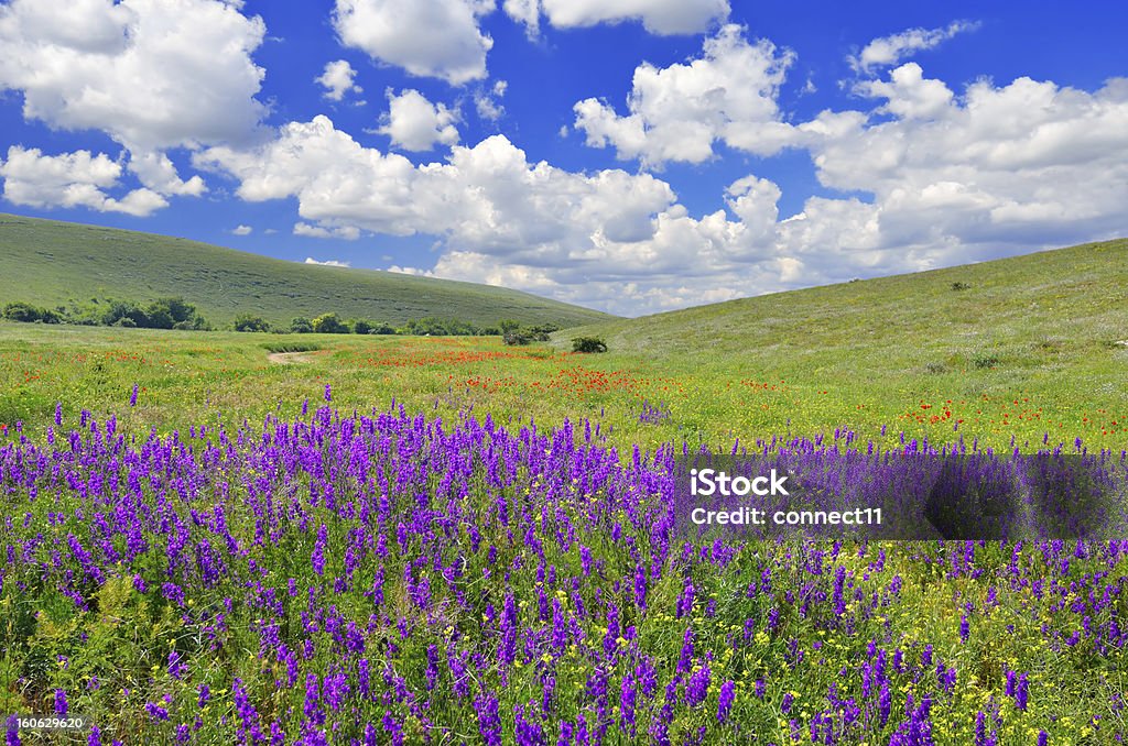 Paisagem de primavera - Foto de stock de Azul royalty-free