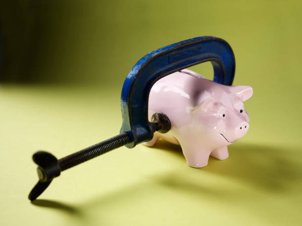 istock Piggy Bank and Clamp 160631534