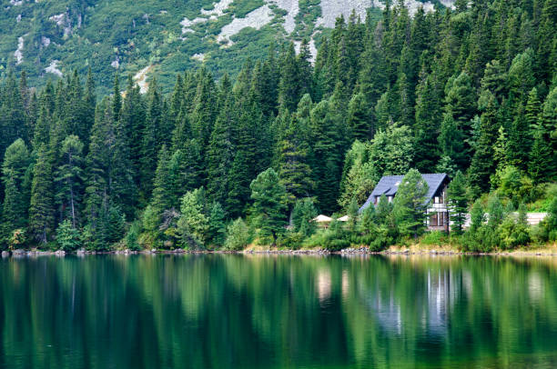 istock Strbske Pleso - Mountain lake 160635961
