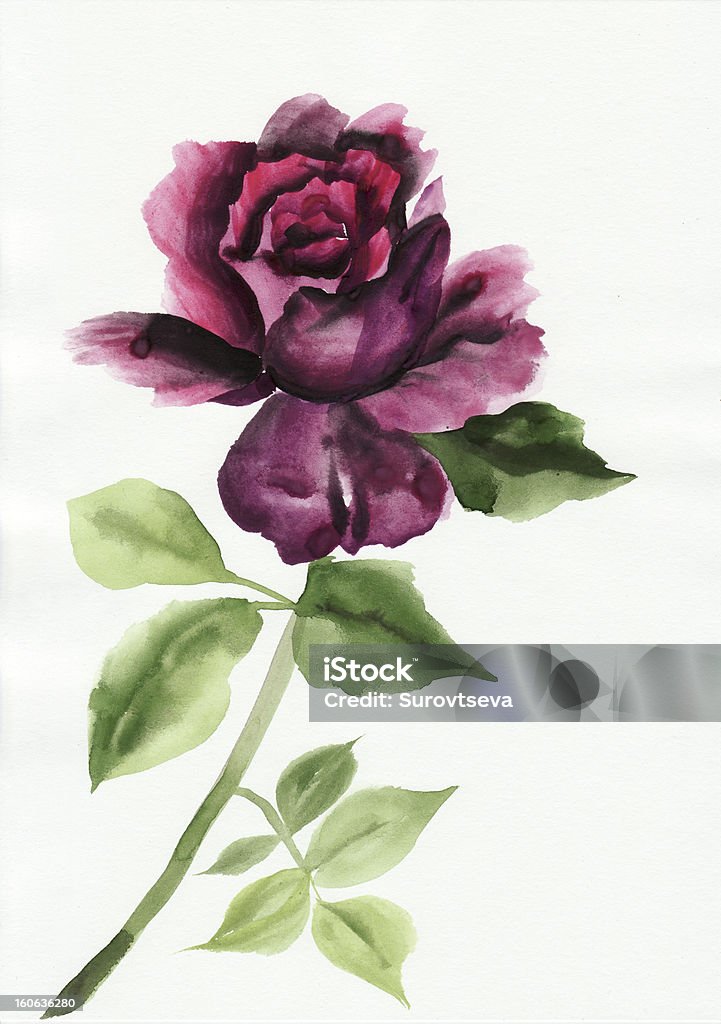 Lila rose - Ilustración de stock de Arte libre de derechos