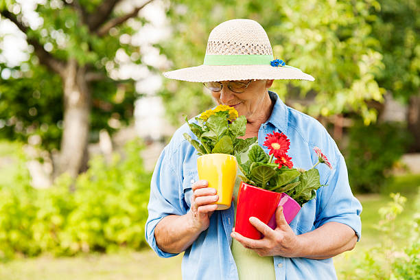 donna anziana profumati fiori - manual worker glasses gardening domestic life foto e immagini stock