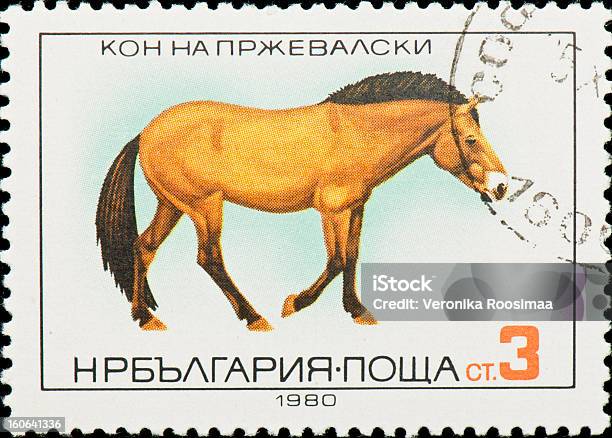 Bulgarische Briefmarke Stockfoto und mehr Bilder von 1980 - 1980, Briefmarke, Bulgarien