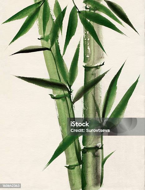 Watercolor Painting Of Bamboo Stock Illustration - Download Image Now - Bamboo - Plant, Brush Stroke, Art