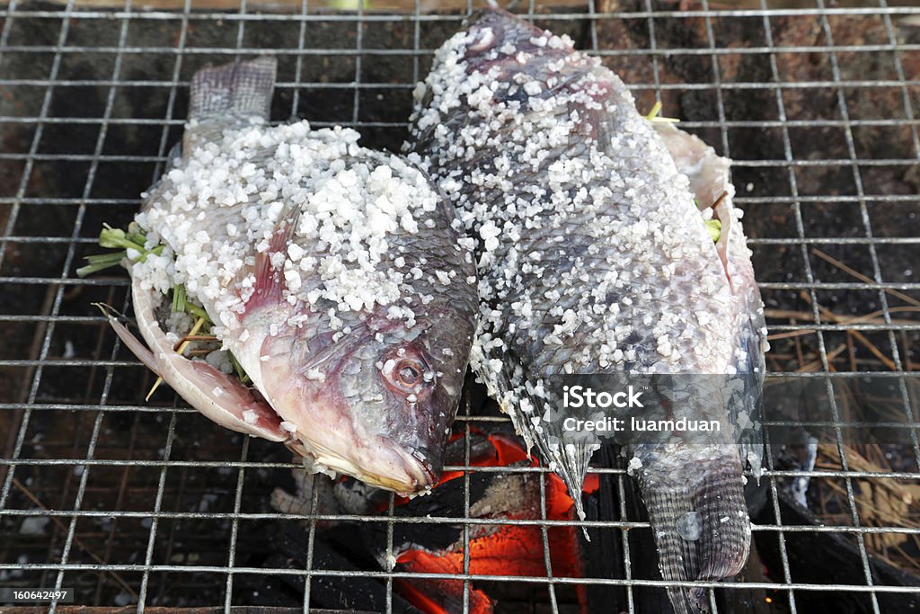 Asar pescado cubierto por sal en la hoguera - Foto de stock de Animal libre de derechos