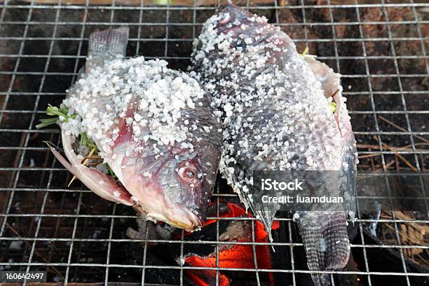 Photo libre de droit de Grillades De Poisson Recouvert De Sel Sur Feu De Camp banque d'images et plus d'images libres de droit de Aliments et boissons