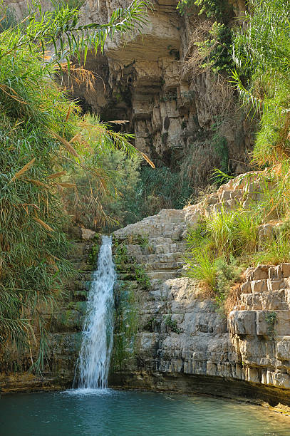 istock A Gedi Nature Reserve 160642680
