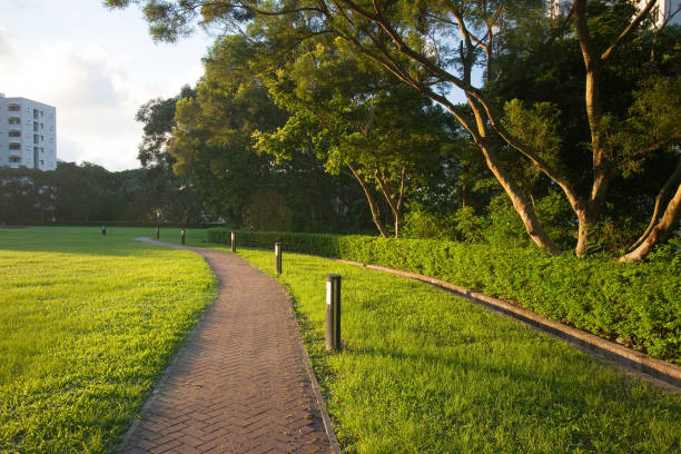 istock Green Grass Landscape,  path through the park 1606440430