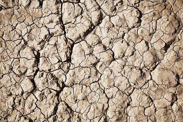 Dried earth stock photo