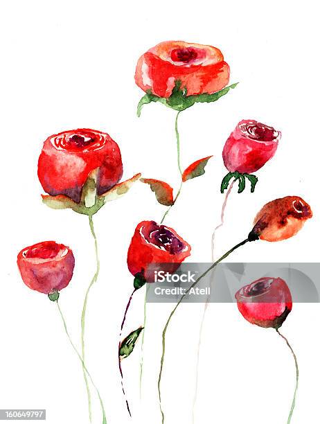 Roses Flowers Watercolor Illustration Stock Illustration - Download Image Now - Blossom, Flower, Flower Arrangement