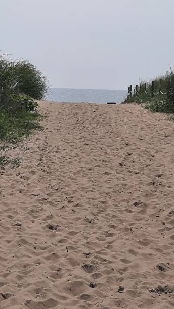 istock Sand path leading to the ocean at a beach 1606500373