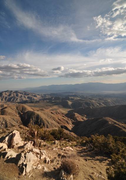 istock Joshua Tree National Park vista 1606503029