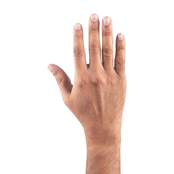 istock Man showing number five on white background 1606504091